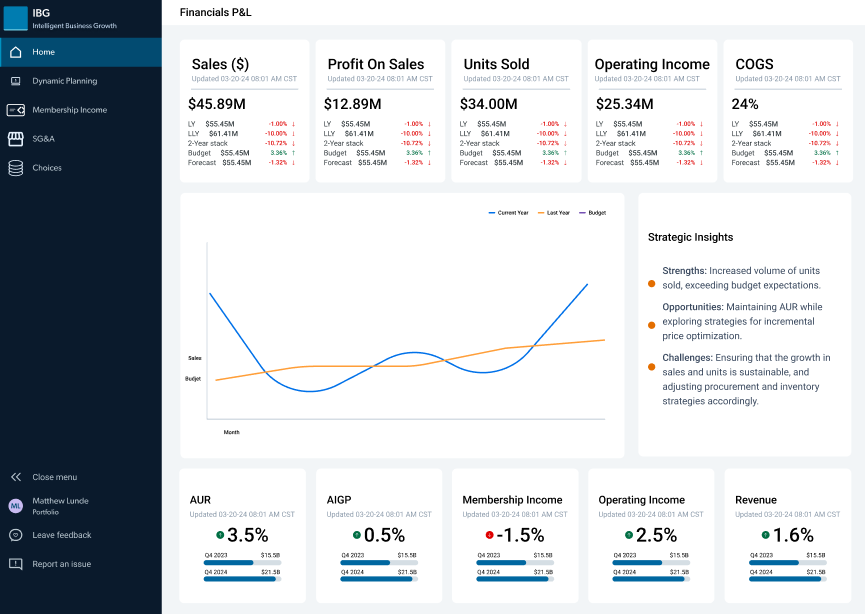 IBG Financial Planning - Unified P&L Dashboard
